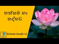 Sinhala Grade 11 - Thathsama ha Thadbava | තත්සම හා තද්භව​