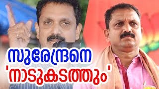 കേരള ബിജെപിയില്‍ വരാനിരിക്കുന്നത് വന്‍ അഴിച്ചുപണി | BJP kerala