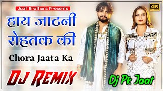 Jaatni Rohtak Ki Dj Remix | Biru Katariya | New Haryanvi Song | Chora Jaata Ka Song | Dj P.K JaaT