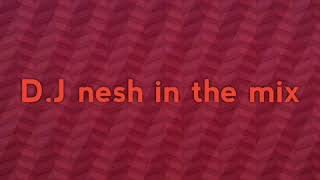 Best of DJ nesh in the mix
