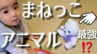 【子守グッズ】まねっこアニマル♡言語発達にも役立ちそうな可愛いグッズ【はじめてvlog】