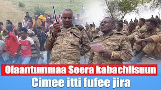 Olaantummaa Seera kabachiisuun Cimee itti fufee jira