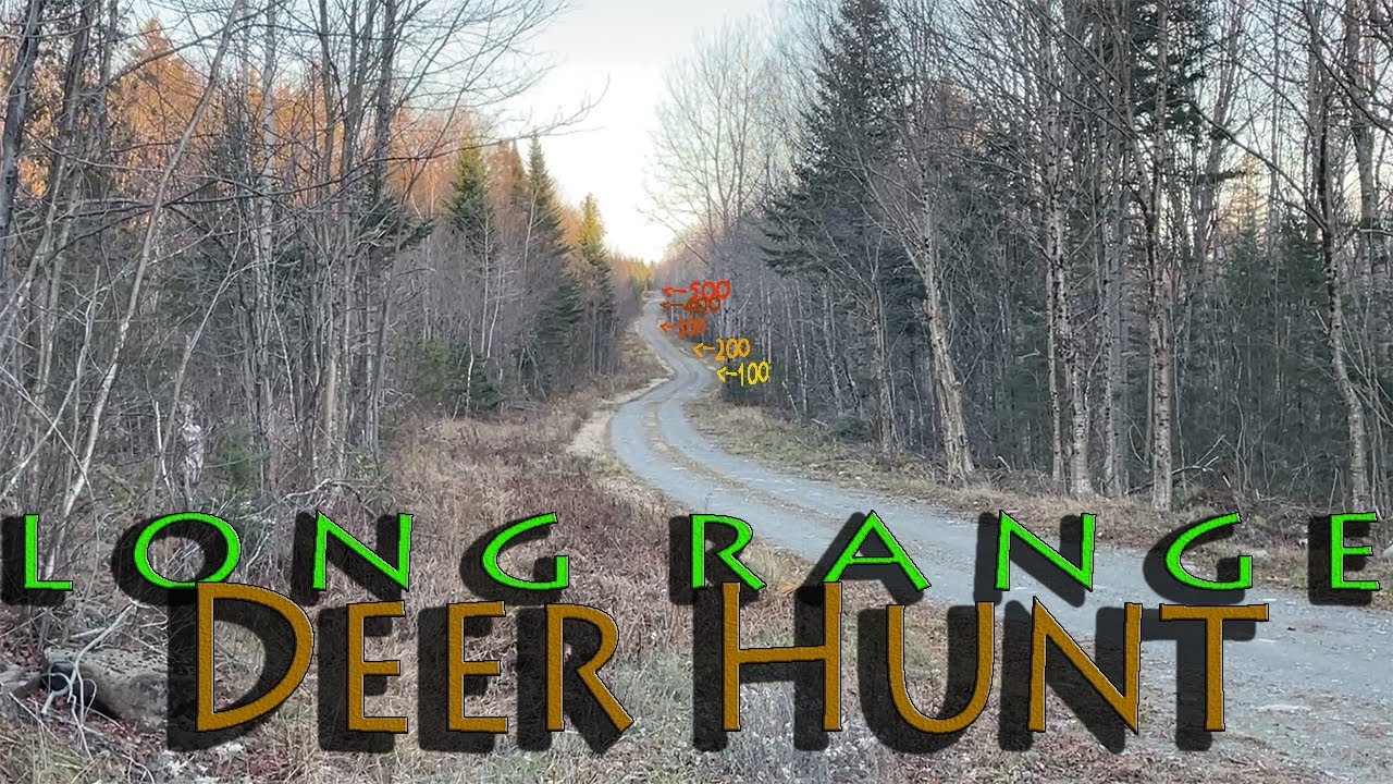 Long Range Deer Hunt Youtube