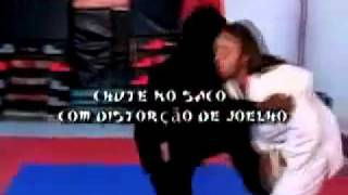 Hermes e Renato - Video Aula de Porrada do Mestre Gil Brother