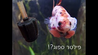 פילטר לדג קרב?!