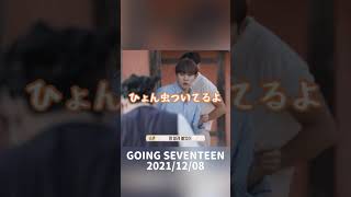 丁度2年前にも虫に怯えていたミンギュとバーノン【SEVENTEEN/세븐틴/セブチ/going seventeen/スングァン/エスクプス/ジョンハン/ドギョム】日本語字幕