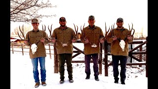 Backcountry Bucks - 2021 Adventures