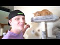 TURNING MY HOUSE INTO A CAT PLAYLAND! (KITTY DREAM HOUSE!)