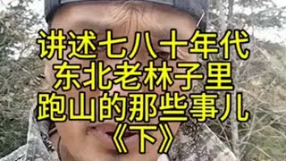 讲述七八十年代东北老林子里猎人跑山的故事猎人的回忆东北老猎人一顿说系列！