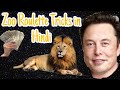 Zoo Roulette Tricks | Zoo Roulette Winning Trick | New Rummy App | Zoo Roulette Game