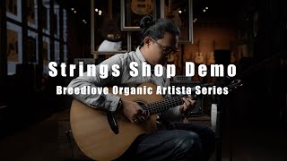 STRINGS SHOP DEMO : BREEDLOVE ARTISTA CONCERT NATURAL SHADOW CE