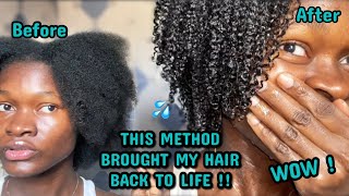 THIS METHOD BROUGHT MY HAIR BACK TO LIFE !| I tried the MAXIMUM HYDRATION METHOD and I’m speechless!