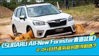 《SUBARU All-New Forester賽道試駕》