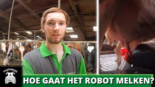 Hoe Gaat Het Robot Melken? 1 Maand Na De Opstart