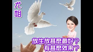 尤姐話你知【放生放啲乜嘢最好？有咩效果？】(請打開youtube字幕)