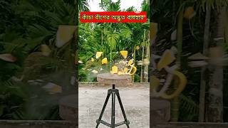 কাঁচা বাঁশের অদ্ভুত ব্যবহার #bangladesh #bamboo #viralvideo #shorts