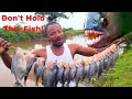 Fishing Piranha Infested Waters- Guyana