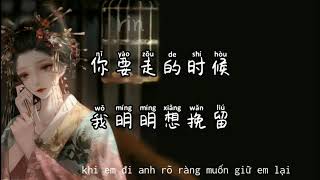 [ Lyrics+ Pinyin ] Vết Thương Đẹp Nhất - 最美的伤口 - zui me de shang you - DJ Tiểu Ngư Nhi - DJ 小鱼儿