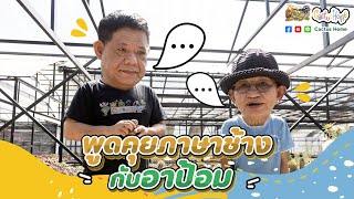 พูดคุยภาษาช้างกับอาป้อม