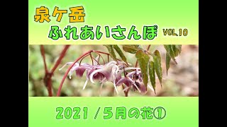 20210523   【動画掲載】ふれあいさんぽVol 10