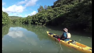 【360°動画】沖縄県東村 慶佐次川マングローブカヌー体験ツアー