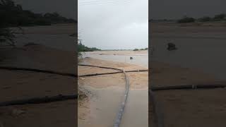 રાધનપુર બનાસ નદી🌊 પાણી ઓછું થયું🫣😲 #dantivada #nature #river #patan #radhanpur #kamalpur #mrstar1720