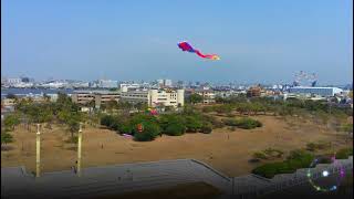 4K 旗津風箏紀事 #高雄 #旗津 #2023  #風箏 #放風箏 #kite #kiteflying #kites