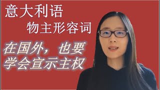 意大利语-语法: 物主形容词– 如何表达这个东西是谁的？