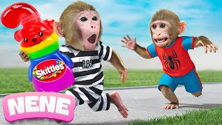 Monkey NeNe Catch Thief Of Delicious Rainbow Skittles Jelly Bottle With Friend | NENE ANIMAL MONKEY