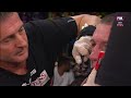 paul gallen vs junior paulo charity fight night 2016