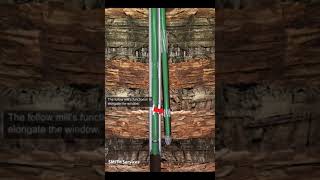 Track master system whipstock