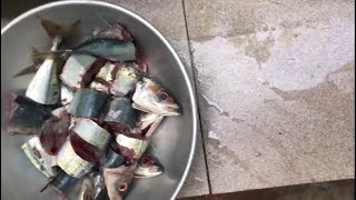 Mackerel Fish (Linna) Fry Home Style