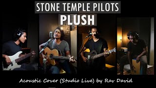 Stone Temple Pilots - Plush (Acoustic Cover by Rav David)