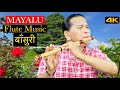 Mayalu | मायालु | Flute Music | Basuri Ko Dhun | Bansuri | Relaxing Instrumental Music | बाँसुरी 4K