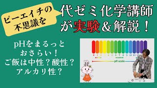 pH🧪の不思議を代ゼミ亀田講師が実験＆解説！ #教養講座Plus #温泉 #化学 #理科 #実験