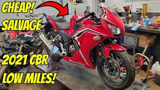 I bought the CHEAPEST 2021 CBR at auction for $1100