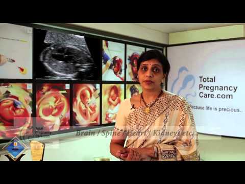 Ultrasound Scans In Pregnancy Ultrasound Scans In Pregnancy