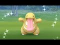 Shiny Lickitungs Encountered in 2024 #pokemongo #shinylickitung #fieldresearch