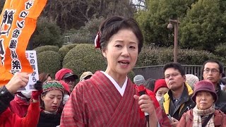 神田香織氏 スピーチ ［女の平和］「安倍政権に女性たちからレッドカード」 2015.1.17 @国会正門前