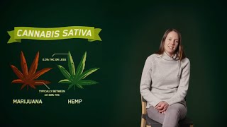 EP. 3 Searching for Answers: What’s the Difference Between Hemp and Marijuana?