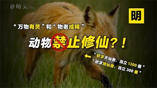 古籍中动物是如何修炼成仙的？成仙路上的三个大劫又是什么？【明史观山】