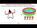 The Java Fork-Join Pool: Overview of the Common Fork-Join Pool