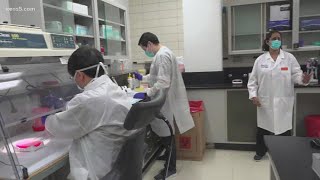 Using next-generation sequencing to determine strains of coronavirus