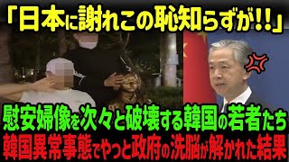 【海外の反応】「慰安婦像なんて要りませんよw」慰安婦像を韓国の若者たちが次々破壊…政府の反日洗脳が解かれ絶句した結果