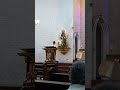 10 /8/24 TUESDAY 6pm Mass:FIRST REAFING🙏🏻 #shortvideo