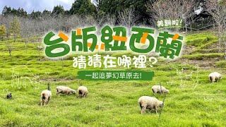 【台灣旅遊】漫步在雲端！直擊全台最高天空步道｜台版紐西蘭清境農場看羊去