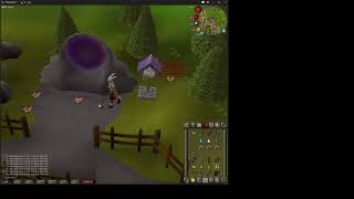 clue scroll bug