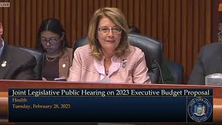 Senator Pam Helming Questions NYS Health \u0026 Financial Services Officials at Budget Hearing