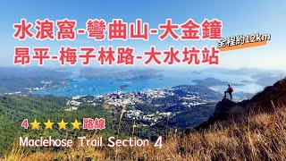 20201231 水浪窩 彎曲山 大金鐘 昂平 梅子林路 大水坑站，全程約12km，沒有補給。(Maclehose Trail Section 4)