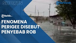 Banjir Rob Terparah Melanda Semarang Utara, Fenomena Perigee Disebut Menjadi Penyebabnya